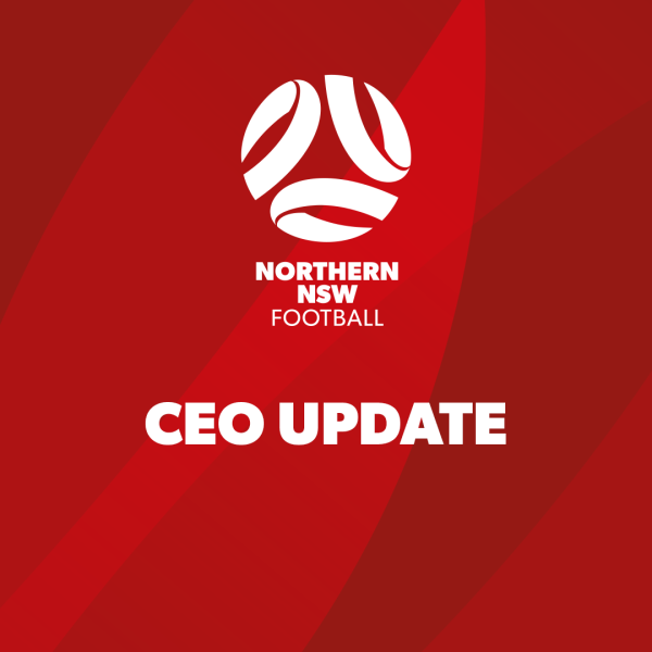 NNSWF Chair gives update on CEO position
